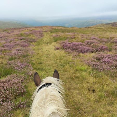 Pentre Riding Stables Hotel Abercraf Buitenkant foto
