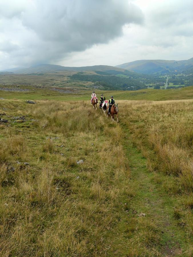 Pentre Riding Stables Hotel Abercraf Buitenkant foto