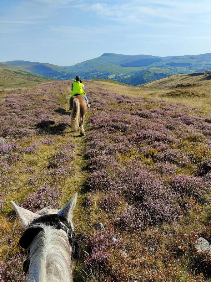 Pentre Riding Stables Hotel Abercraf Buitenkant foto